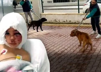 Asiye’den bir güzel haber daha