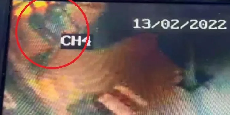 Kadını ağzını kapatarak kaçırmaya çalıştı