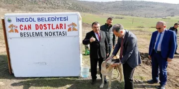 Bursa İnegöl’de sokak hayvanları için yeni beslenme noktaları oluşturuluyor