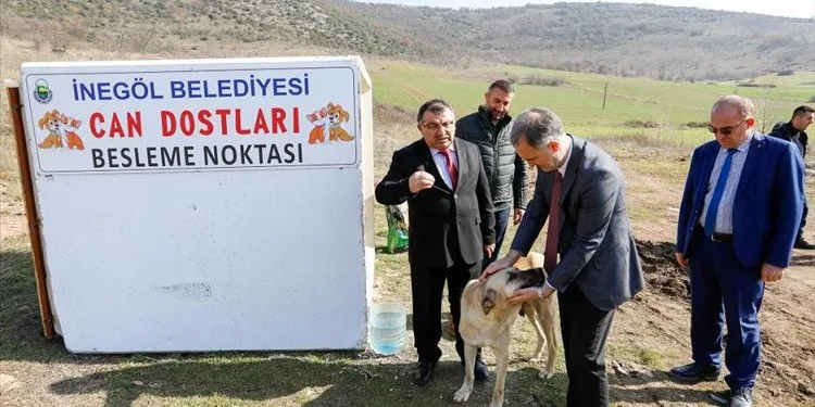 Bursa İnegöl’de sokak hayvanları için yeni beslenme noktaları oluşturuluyor
