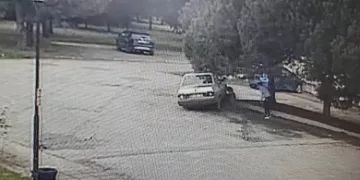 Otomobili antrenörün üzerine sürdü, köpeği yaraladı