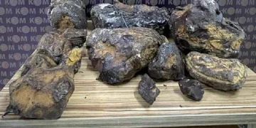 Mersin’de balina kusmuğu ele geçirildi!