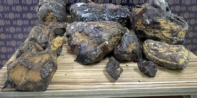 Mersin’de balina kusmuğu ele geçirildi!