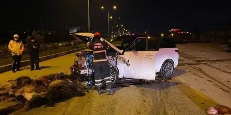 Sürüye daldı: 58 hayvan telef oldu