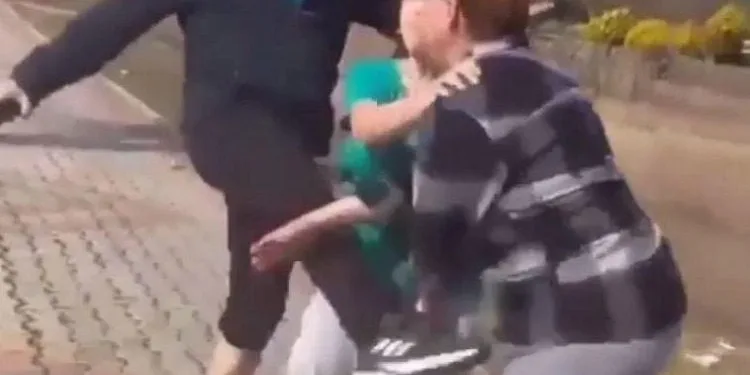 Köpeklere taş attığı için uyaran kadınları dövdü