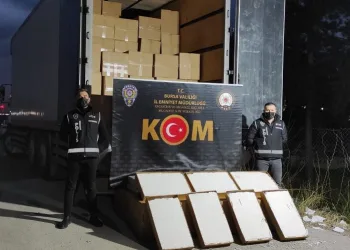 Bursa’da ele geçirildi! Piyasa değeri 5,5 milyon lira