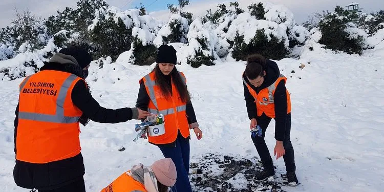 Bursa’da öğrenciler sokak hayvanlarını unutmadı