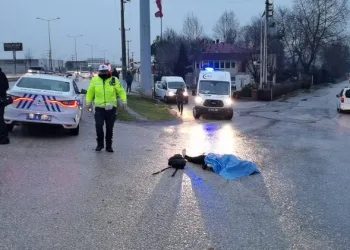 Bursa’da otomobilin çarptığı kadın öldü