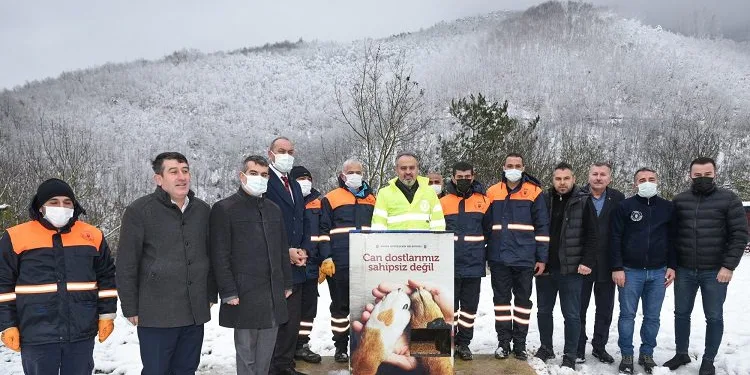 Bursa’da sokak hayvanları sahipsiz bırakılmıyor