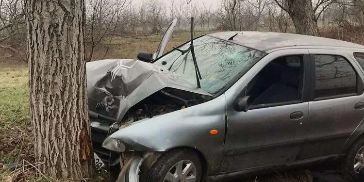 Bursa’da ağaca çarparak durabildi