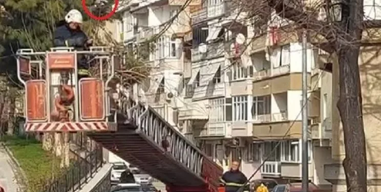 Bursa’da ağaca takılan kuşu itfaiye kurtardı