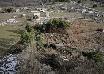 Bursa’da ağaç katliamı! 100 yıllık ağaçları kesti