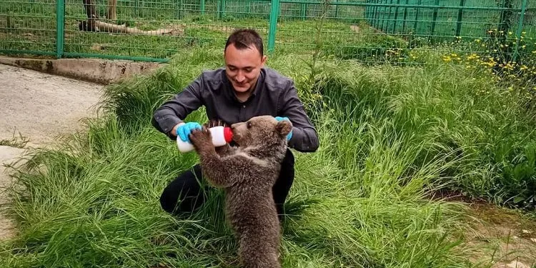 Tedavi edilen 335 hayvan doğaya salındı