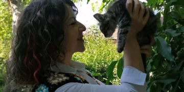 Ölen hamile kedinin karnını açıp yavrularını kurtardı