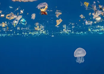 Pandemide plastik atık farkındalığı arttı