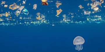 Pandemide plastik atık farkındalığı arttı