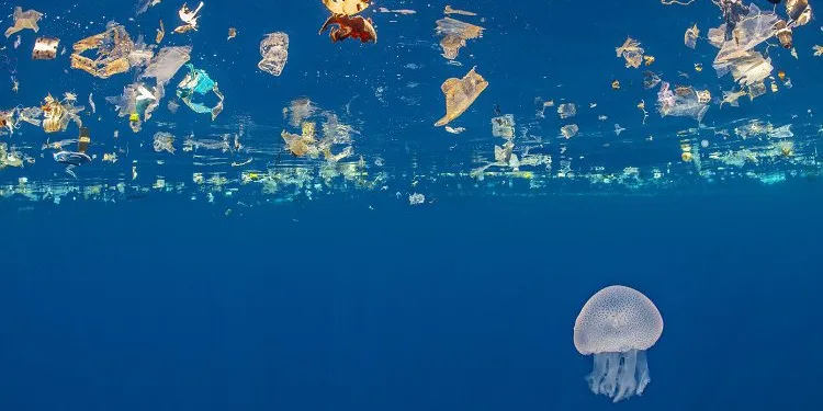 Pandemide plastik atık farkındalığı arttı