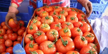 Savaş Türkiye’deki hali vurdu! Fiyatlarda yüzde 50 düşüş