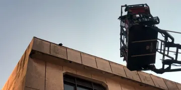 Avcılar’da kedi için yıkıma ara verildi