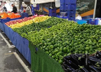 Cep yakan sebze fiyatlarında düşüş başladı