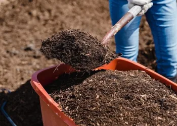 Gübre fiyatlarında indirim yapıldı