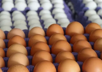 Bakanlıktan yumurta fiyatları açıklaması