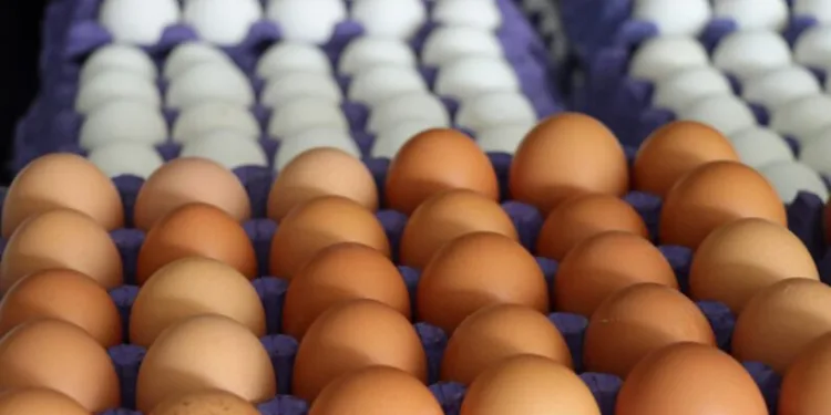 Bakanlıktan yumurta fiyatları açıklaması