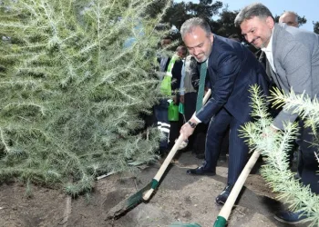 Bursa’da 42 hektar alan hatıra ormanına dönüşüyor