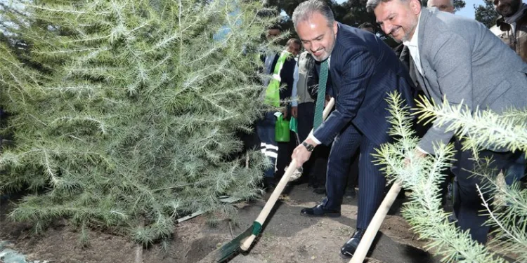 Bursa’da 42 hektar alan hatıra ormanına dönüşüyor