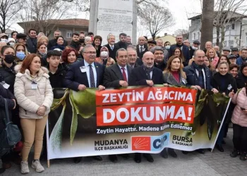 Bursa’da ‘Zeytin Ağacıma Dokunma’ protestosu