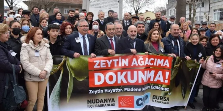 Bursa’da ‘Zeytin Ağacıma Dokunma’ protestosu