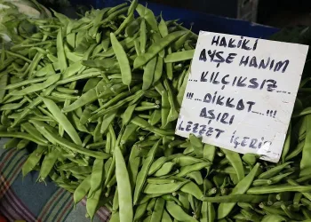 Ayşekadın fasulyesinde fiyat rekoru