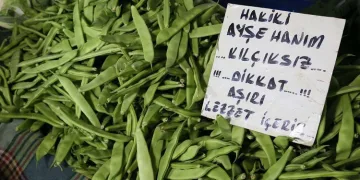 Ayşekadın fasulyesinde fiyat rekoru