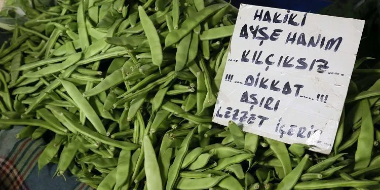 Ayşekadın fasulyesinde fiyat rekoru