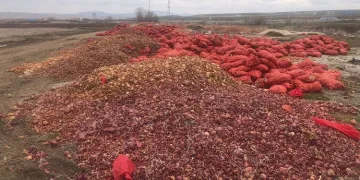 Tonlarca soğan yol kenarına döküldü