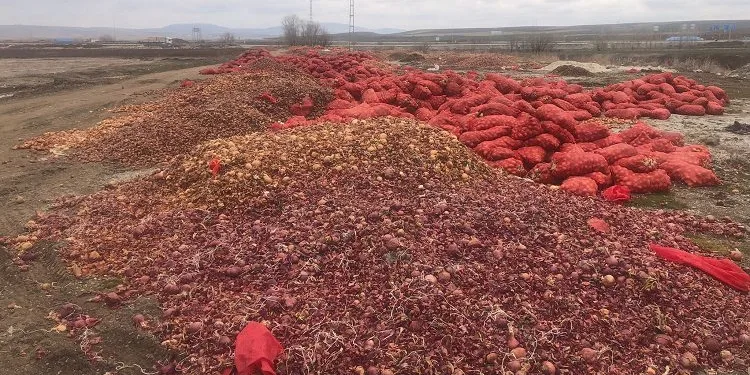 Tonlarca soğan yol kenarına döküldü