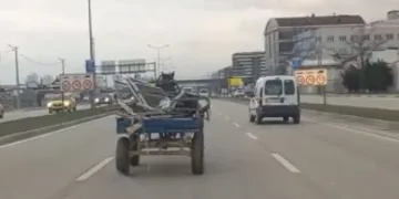 Bursa’da sürücüsüz at arabası trafiği birbirine kattı