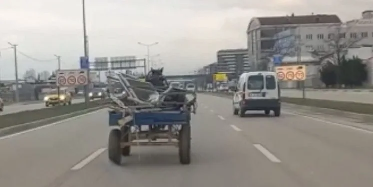 Bursa’da sürücüsüz at arabası trafiği birbirine kattı