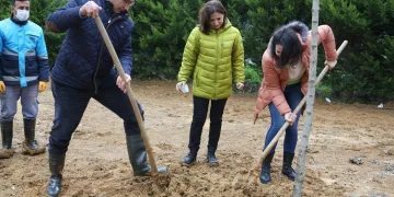 Daha yeşil bir çevre için fidan diktiler