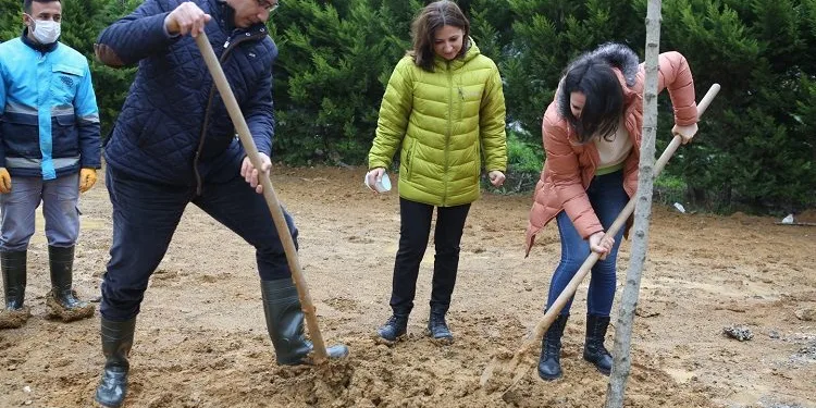 Daha yeşil bir çevre için fidan diktiler