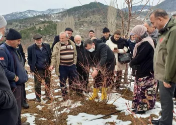 Bursa’da çiftçiye budama ve gübreleme eğitimi
