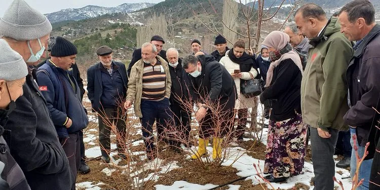 Bursa’da çiftçiye budama ve gübreleme eğitimi