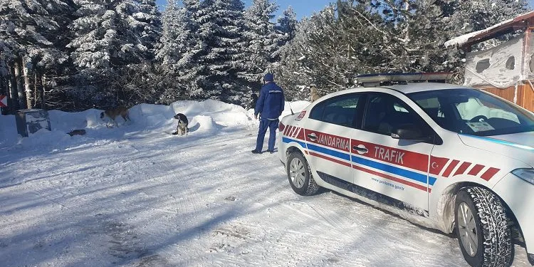 Uludağ’da jandarma ekipleri aç kalan köpekleri besledi