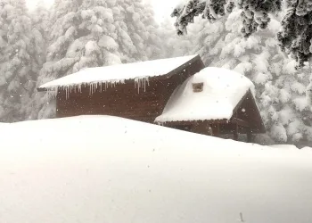 Orman köşkleri kar altında kaldı