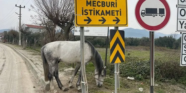 Bursa’da tepki çeken görüntü!