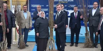Kelesli üreticiye fidan ve tohum desteği
