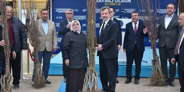 Kelesli üreticiye fidan ve tohum desteği