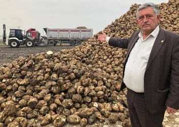 Bursa’dan sesledi: Türkiye’ye yetecek şeker var