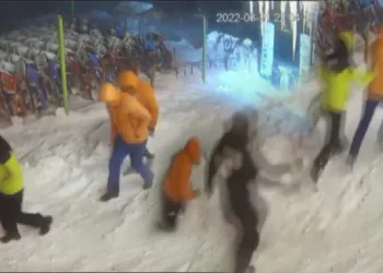 Bursa Uludağ’da ayı paniği! Neye uğradıklarını şaşırdılar