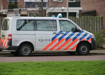 Hollanda’da 2 Türk restoranda öldürüldü